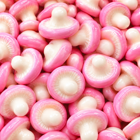 Champignon — Dulceplus