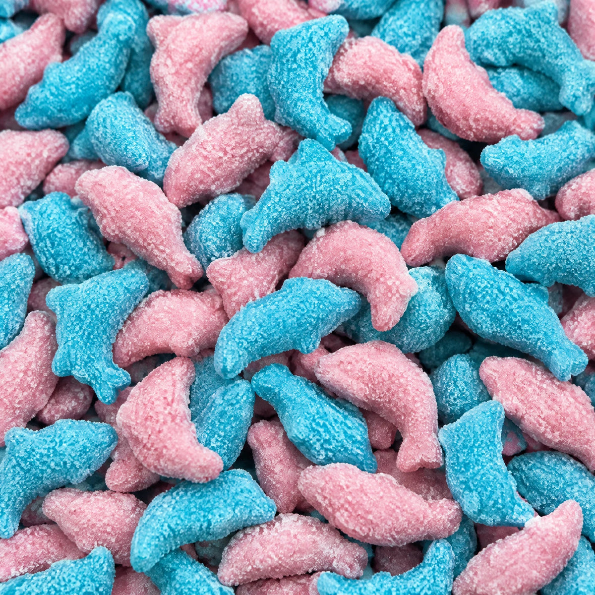 Dauphins Bubblegum — Matthijs