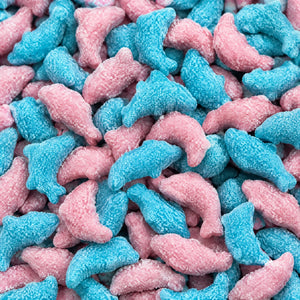 Dauphins Bubblegum — Matthijs