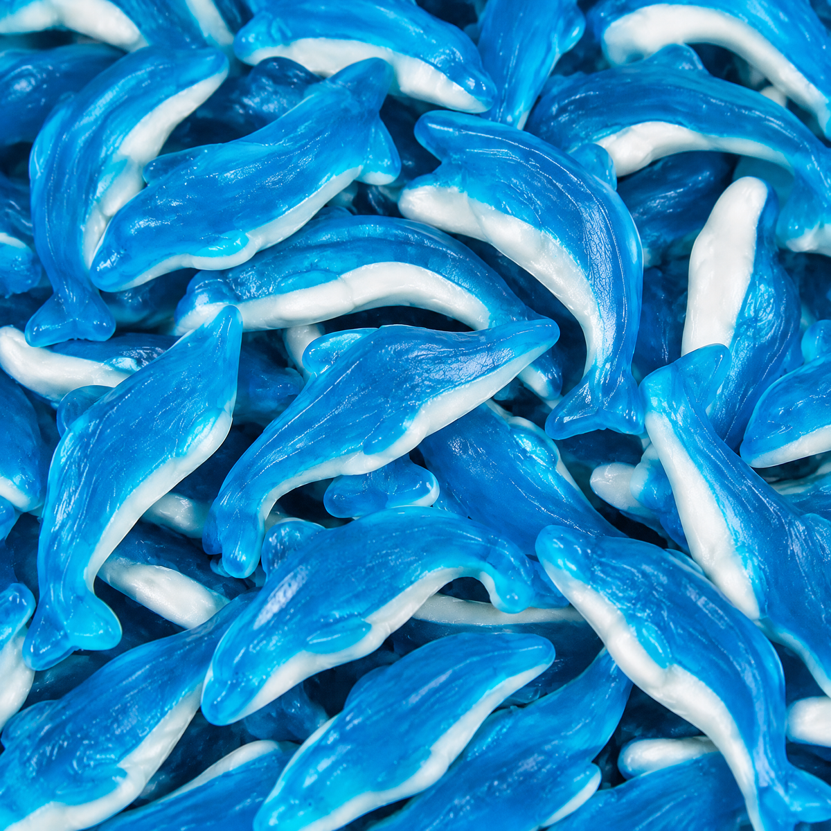 Dauphins géant — Damel