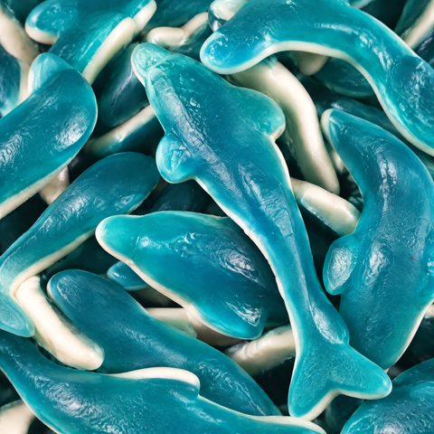Dauphins Géants — Vidal