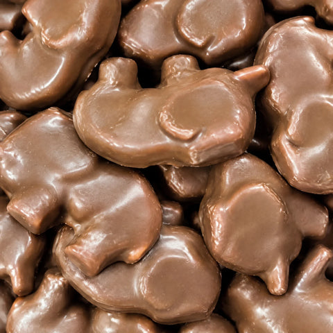 Guimauve Éléphant Chocolat — Chocolats Suédois