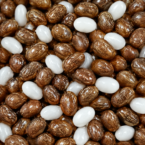 Jelly Beans Cola — Dr Sour