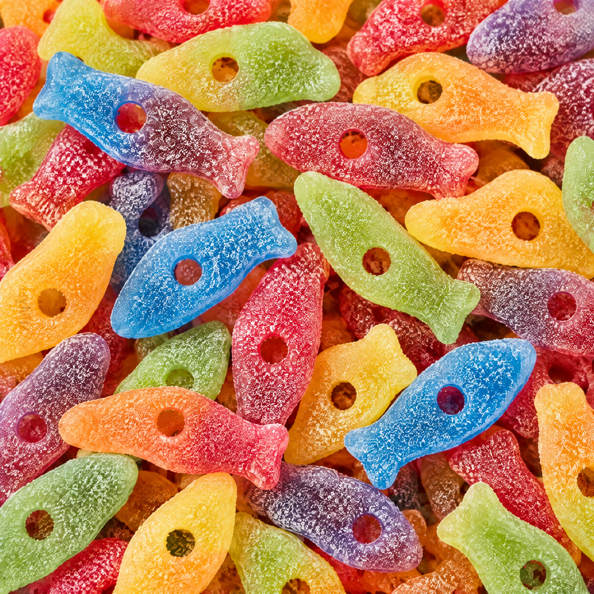 Poissons acides — Matthijs