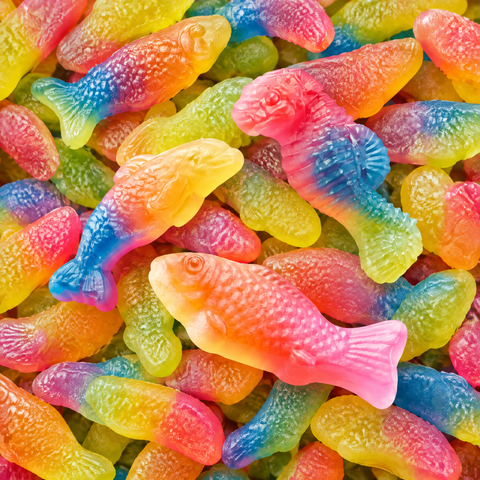 Rainbow Sea — Malaco