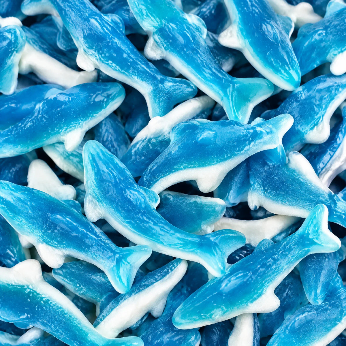 Requins Bleus — Trolli