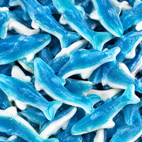 Requins Bleus — Trolli
