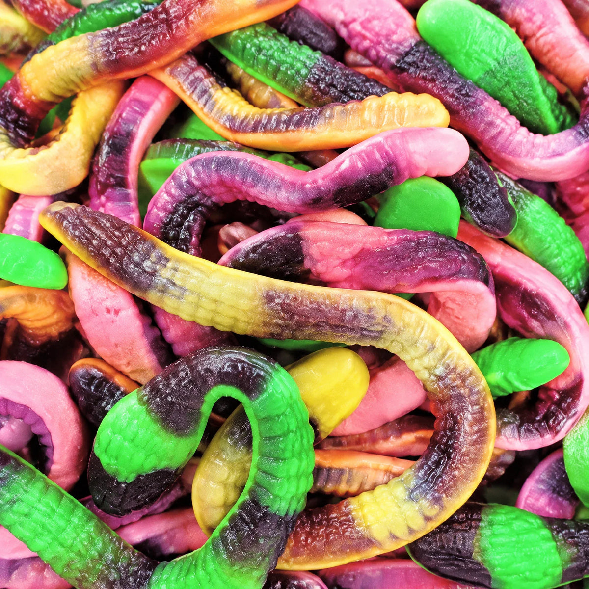Serpents Géants — Vidal